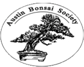 Austin Bonsai Society